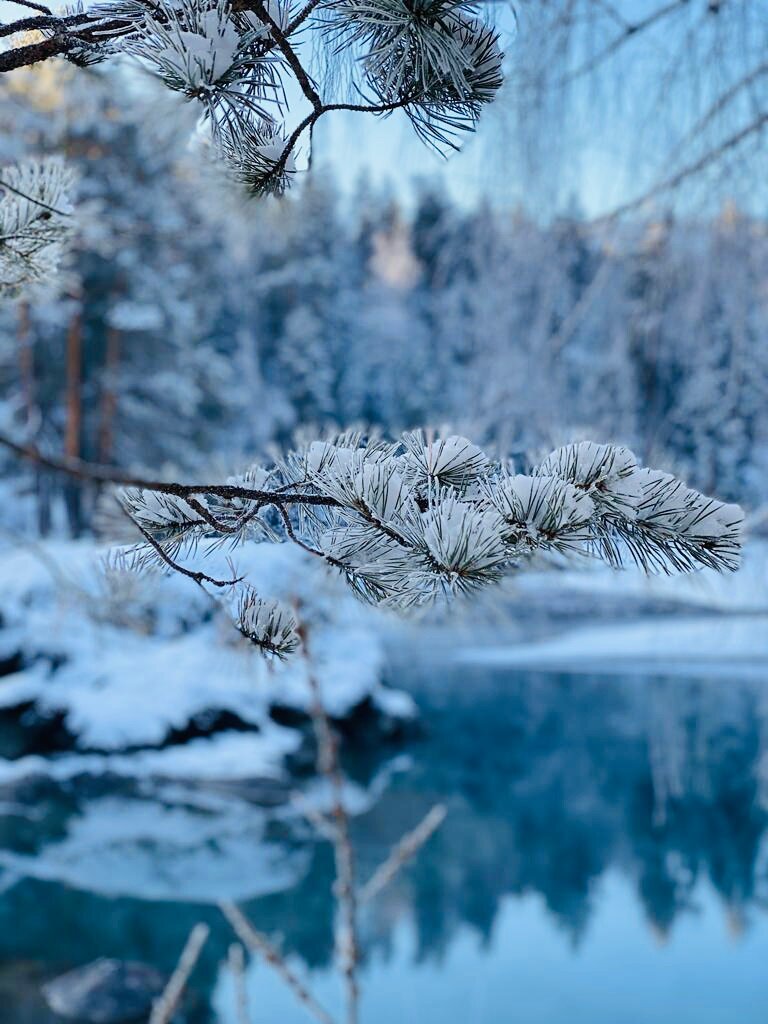 Фото Воздух Алтая на Калинина  23