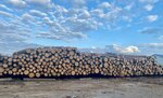 Деревяшкин (Leningrad Region, Gatchinskiy District, Novosvetskoye selskoye poseleniye, posyolok Prigorodny), productos madereros
