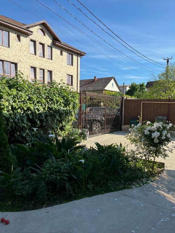 Фото Магнолия