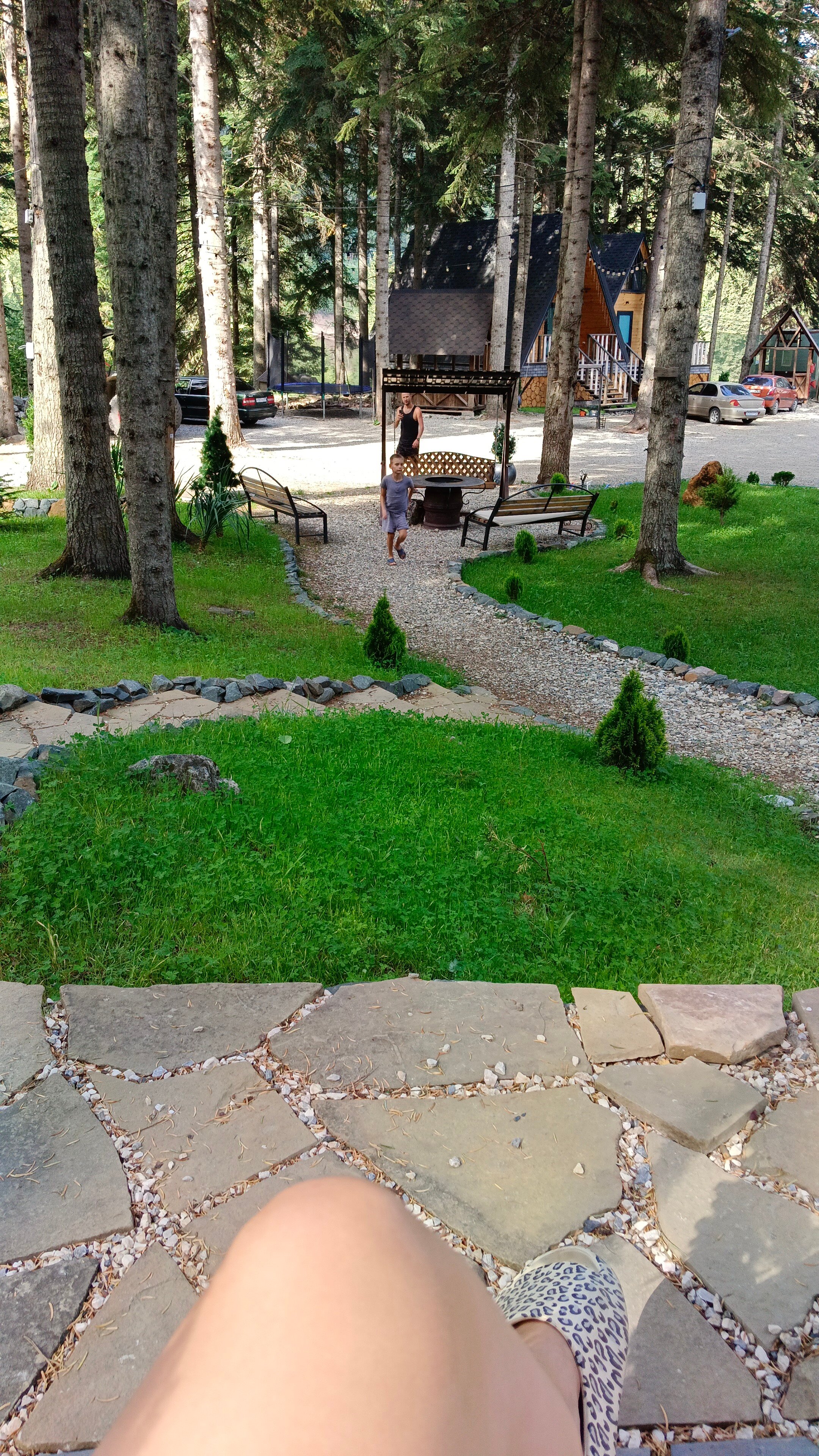 Фото Пихта-парк