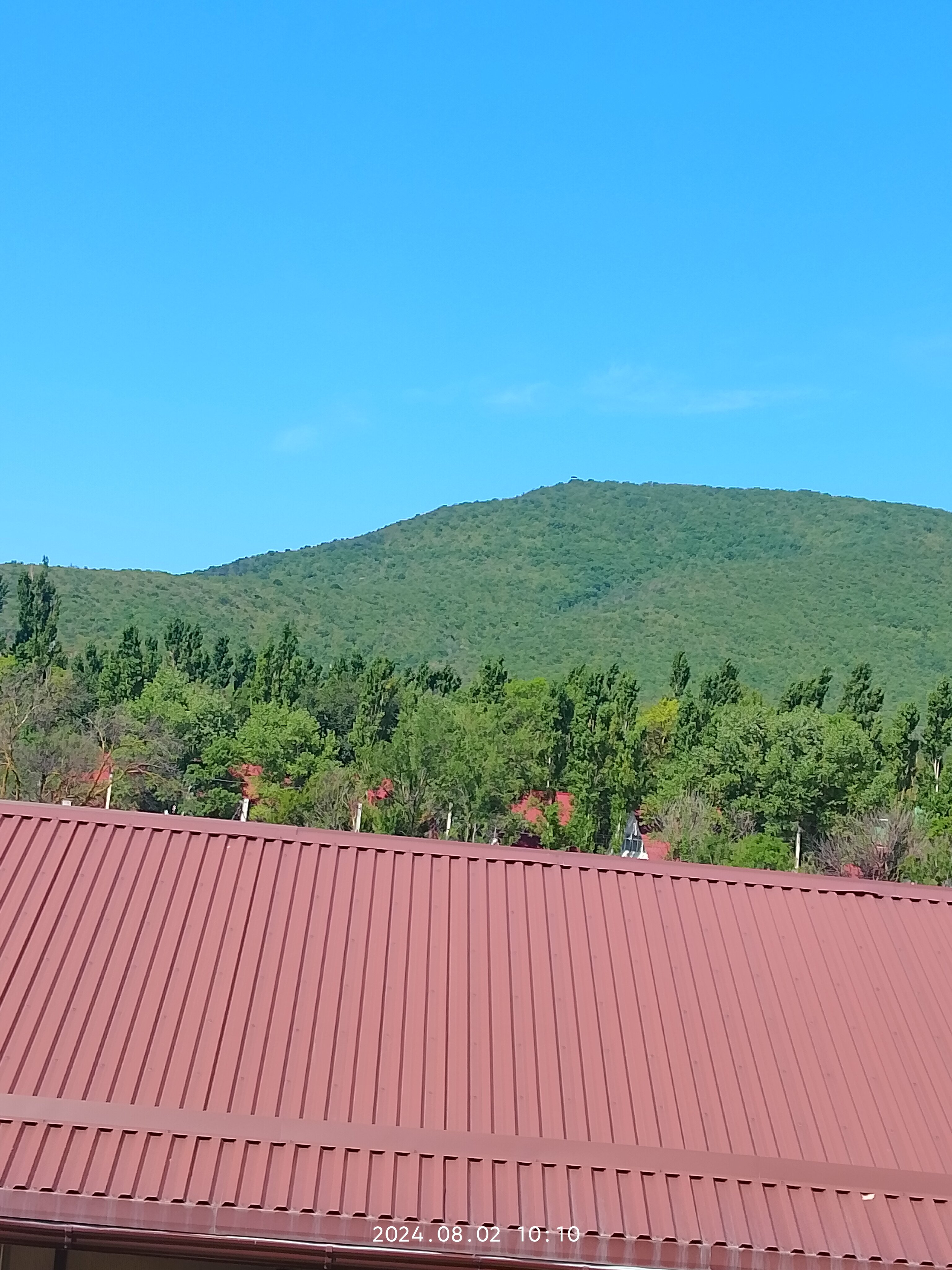 Фото Светлана