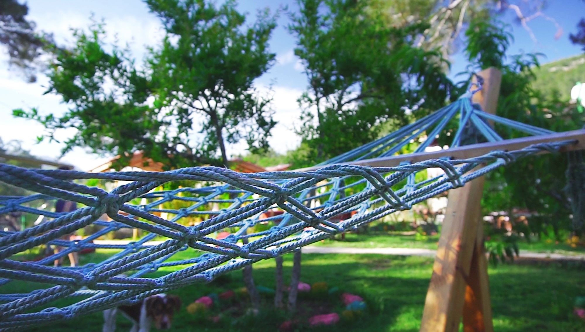 Фото Koala Bungalows