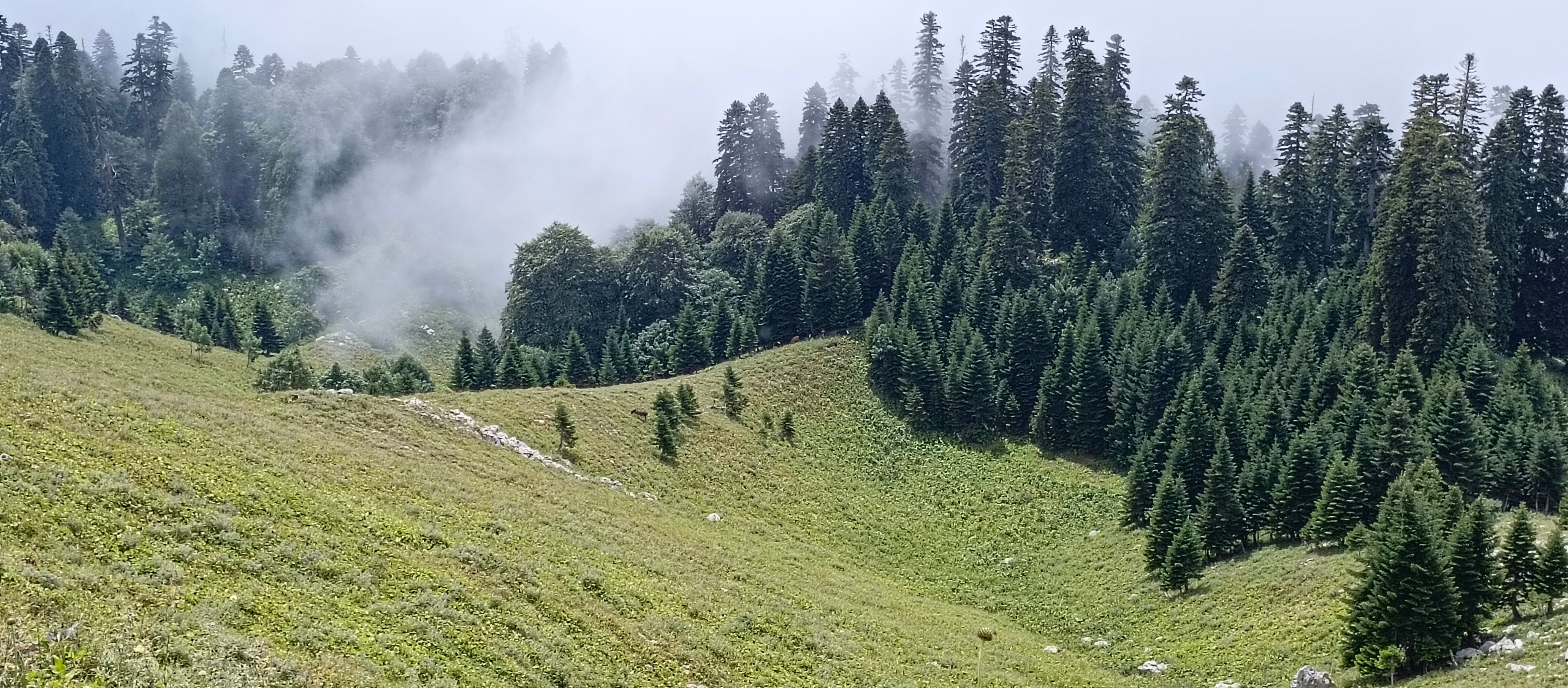 Фото Белые ночи