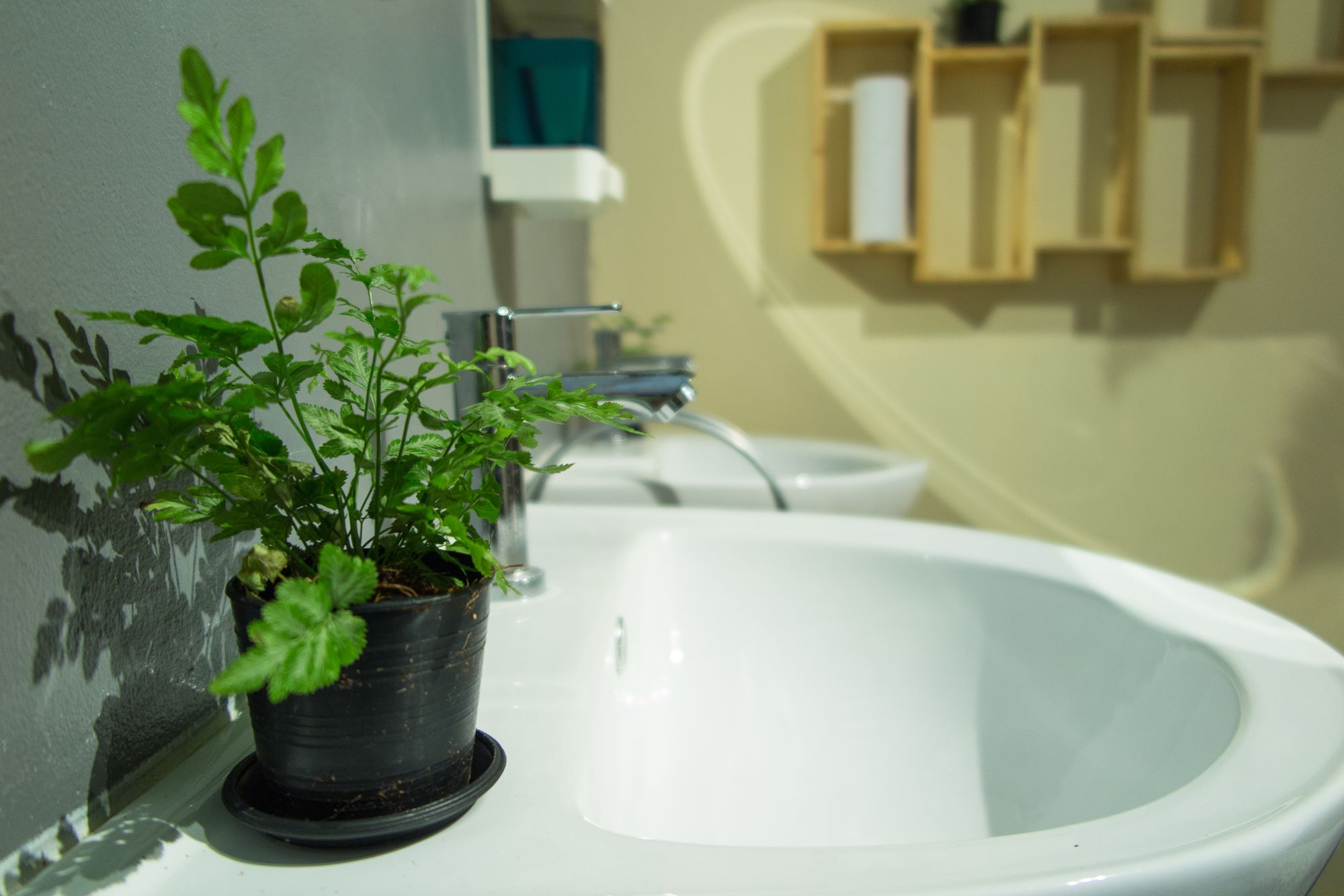 Фото Assembly Hostel