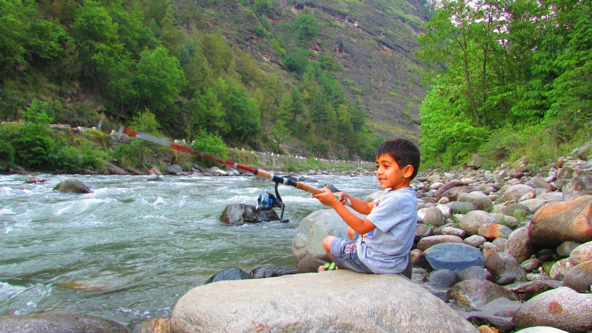 Фото Tall Trees Resort by OpenSky