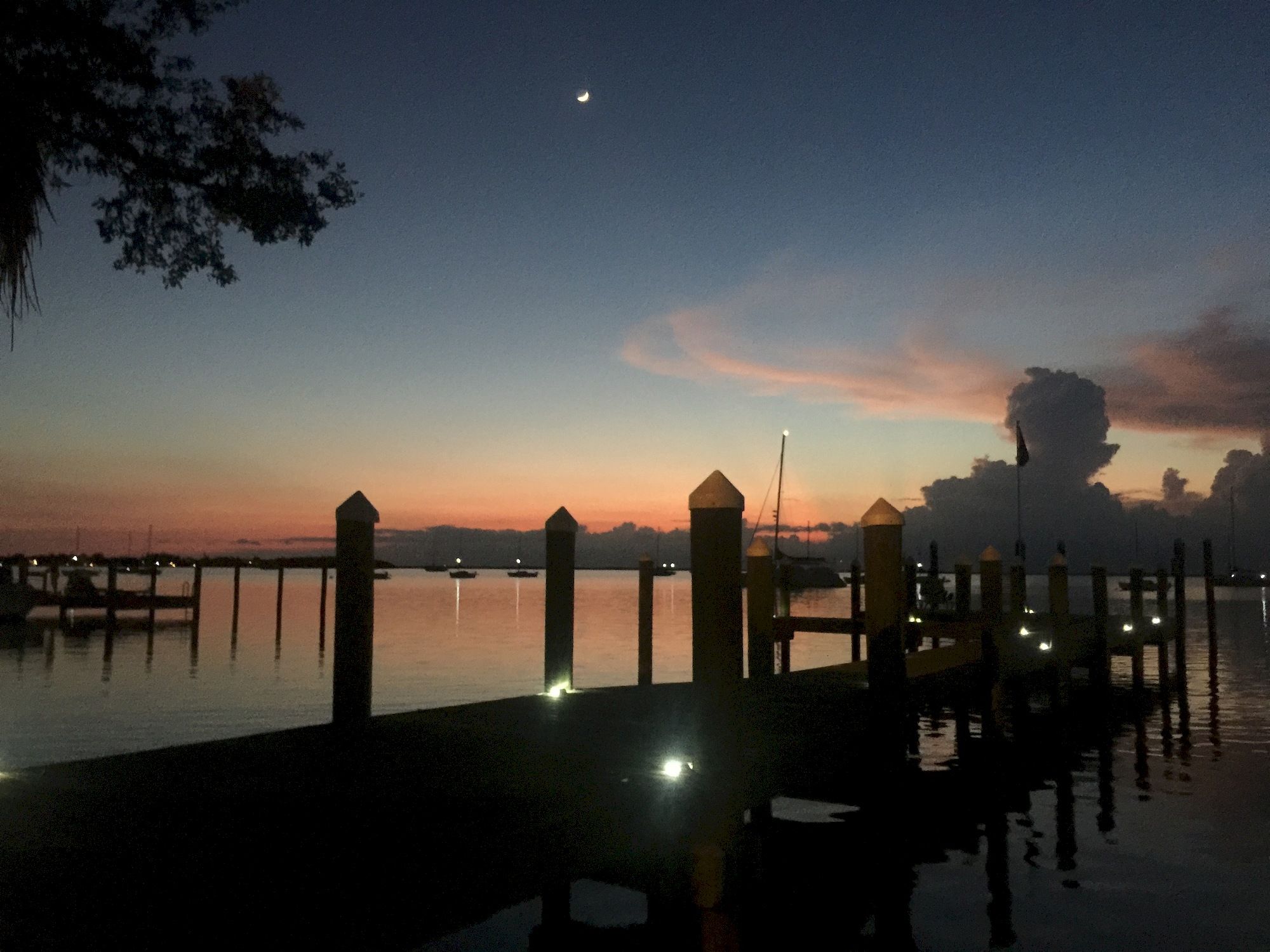 Фото The Pelican Key Largo Cottages