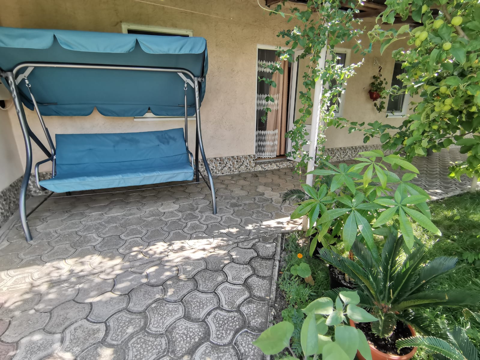 Фото Лонисера