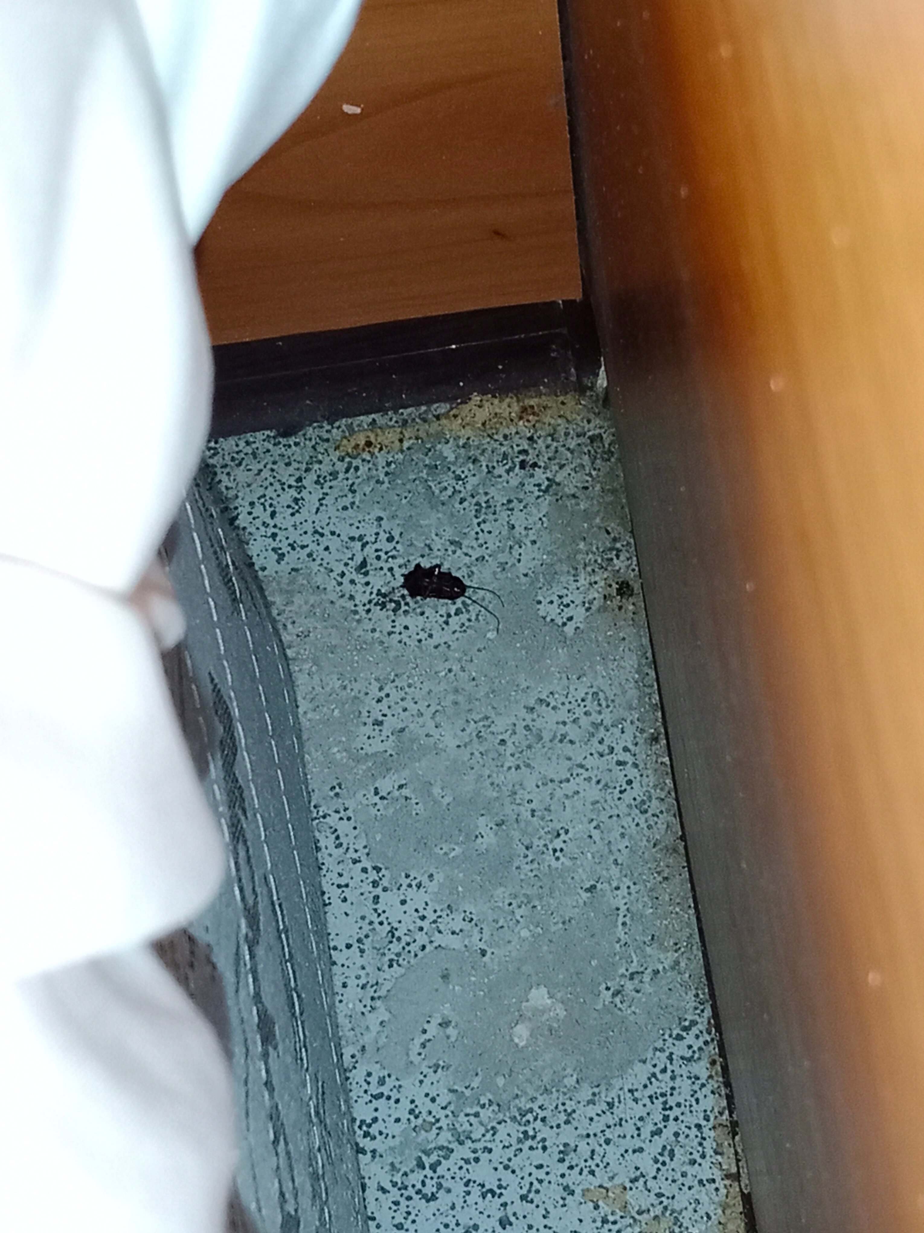 Фото Первая линия