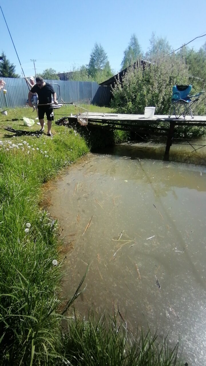 Фото Клёвый хуторок