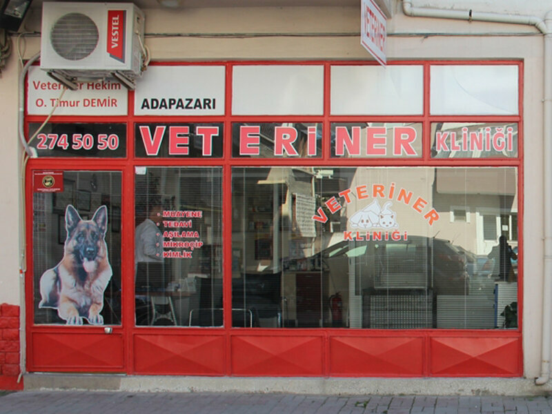 Veterinary clinic Timur Demir, Adapazari, photo
