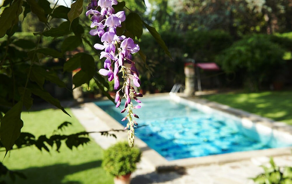 Фото Park Palace