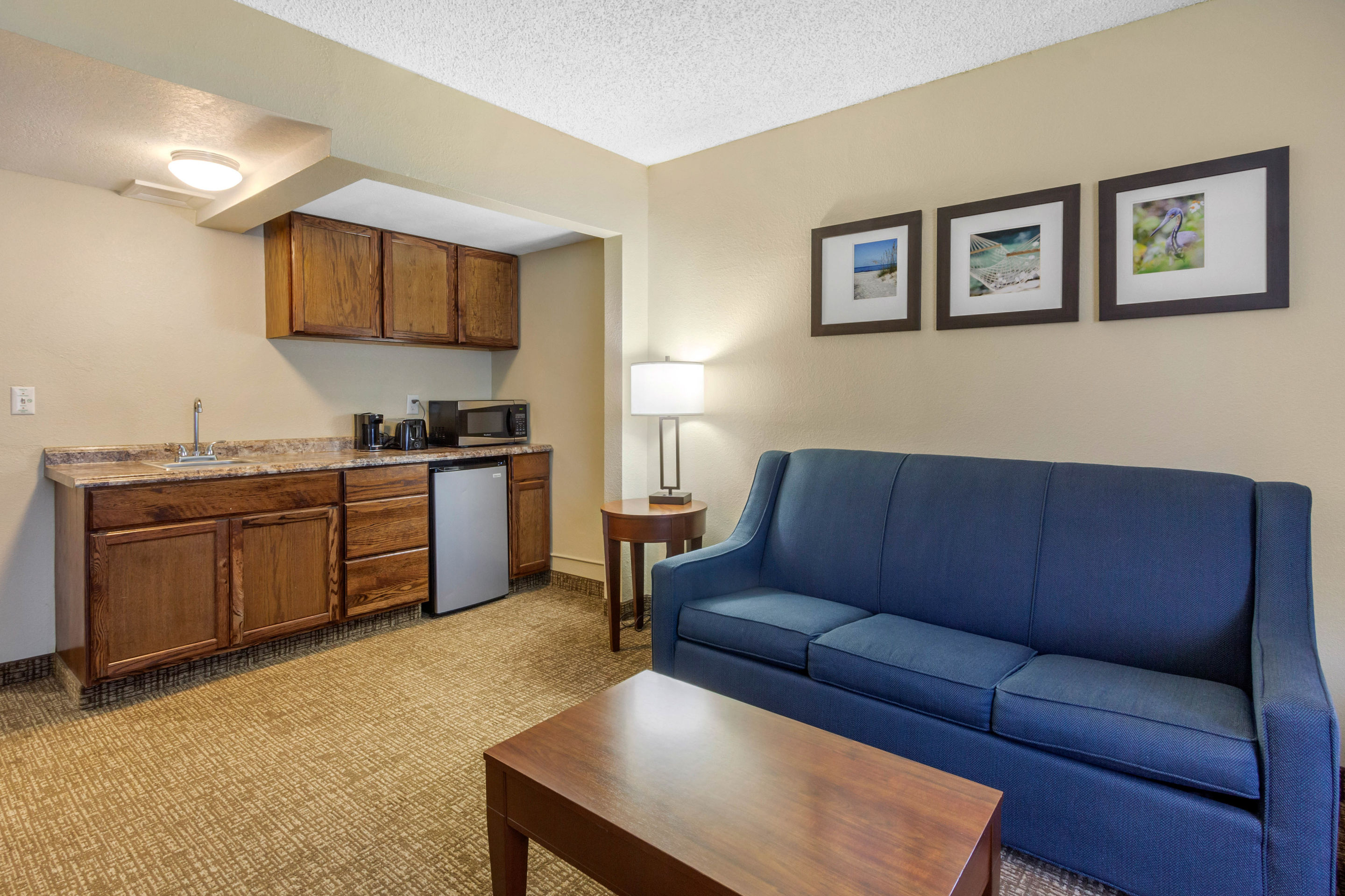 Фото Comfort Suites Tallahassee Downtown