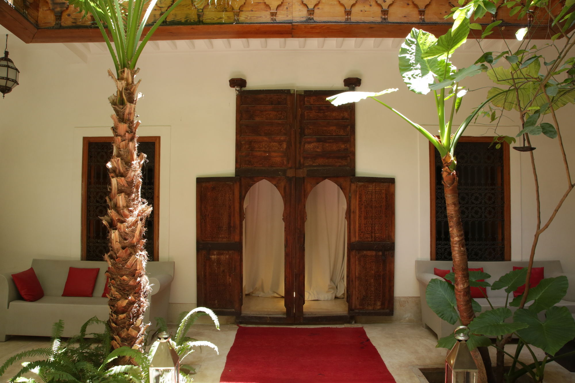 Фото Riad Djebel