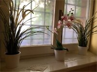 Фото Domus Tiberina