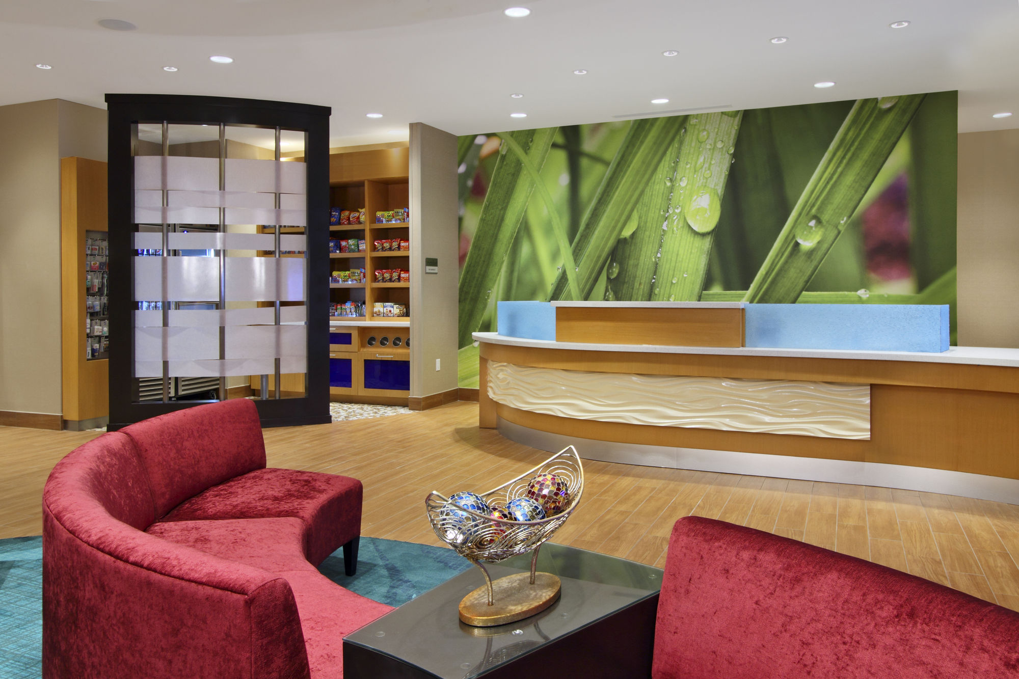 Фото SpringHill Suites Houston I-10 West/Energy Corridor