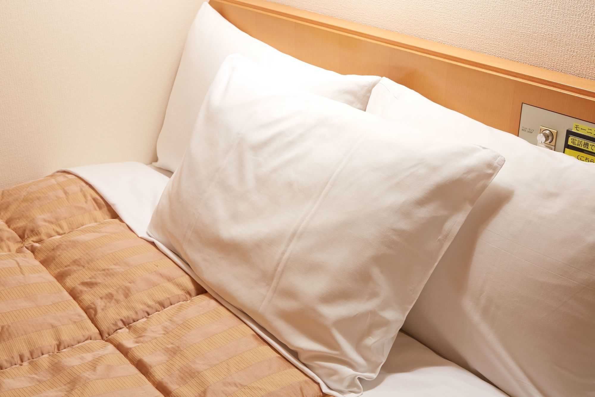 Фото 25891155707