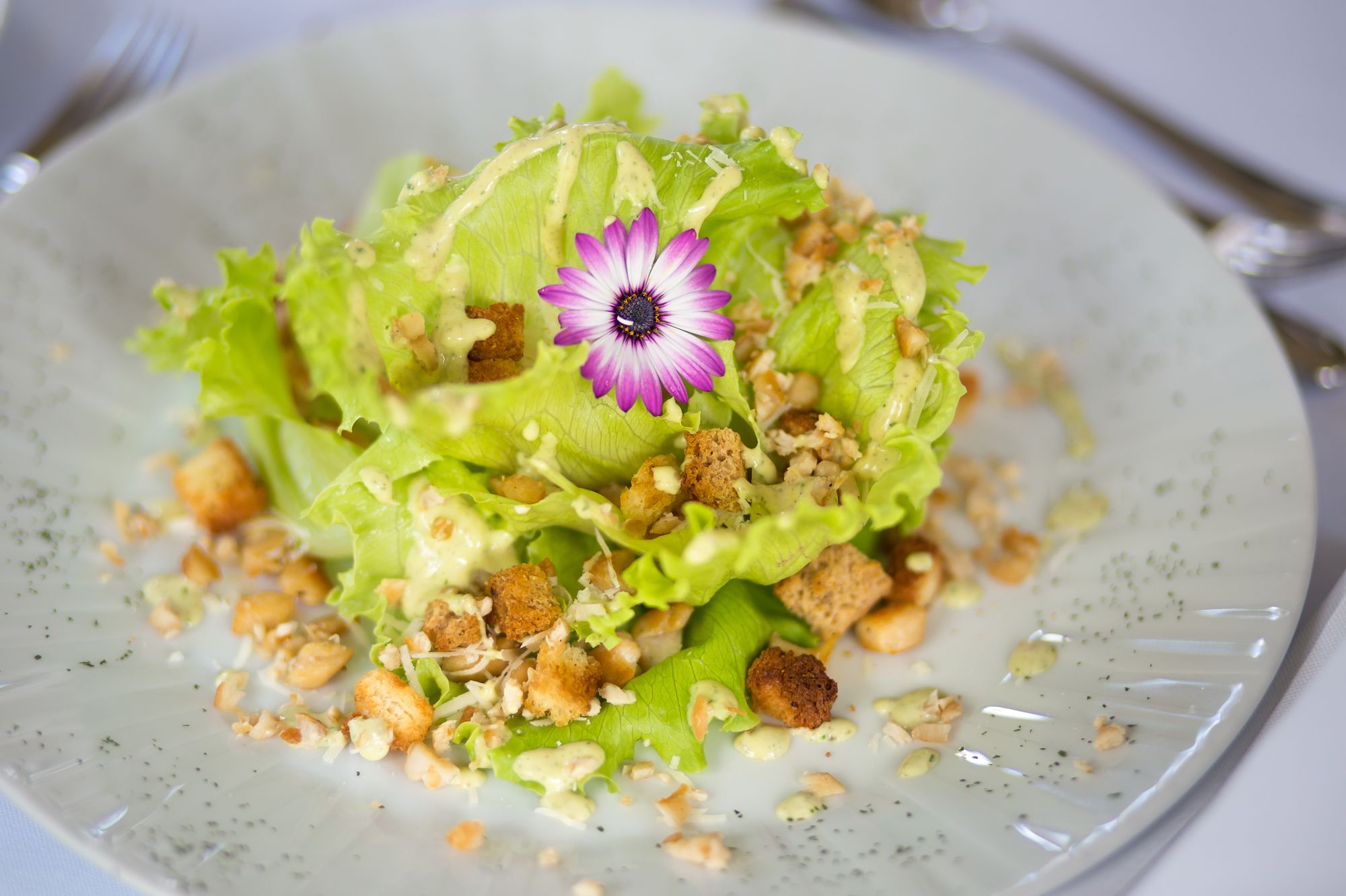 Фото Carballo Hotel & SPA