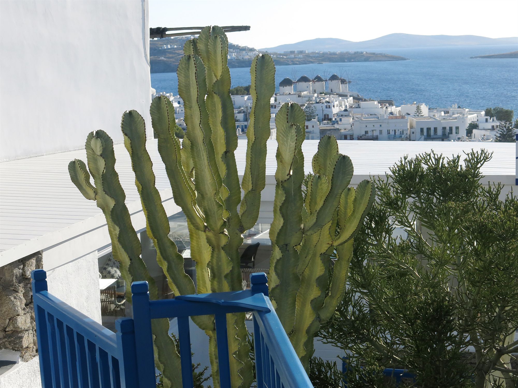 Фото Portobello Boutique Hotel