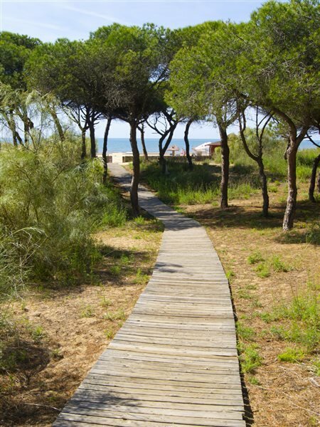 Фото Tui Blue Isla Cristina Palace - Adults Only Recommended