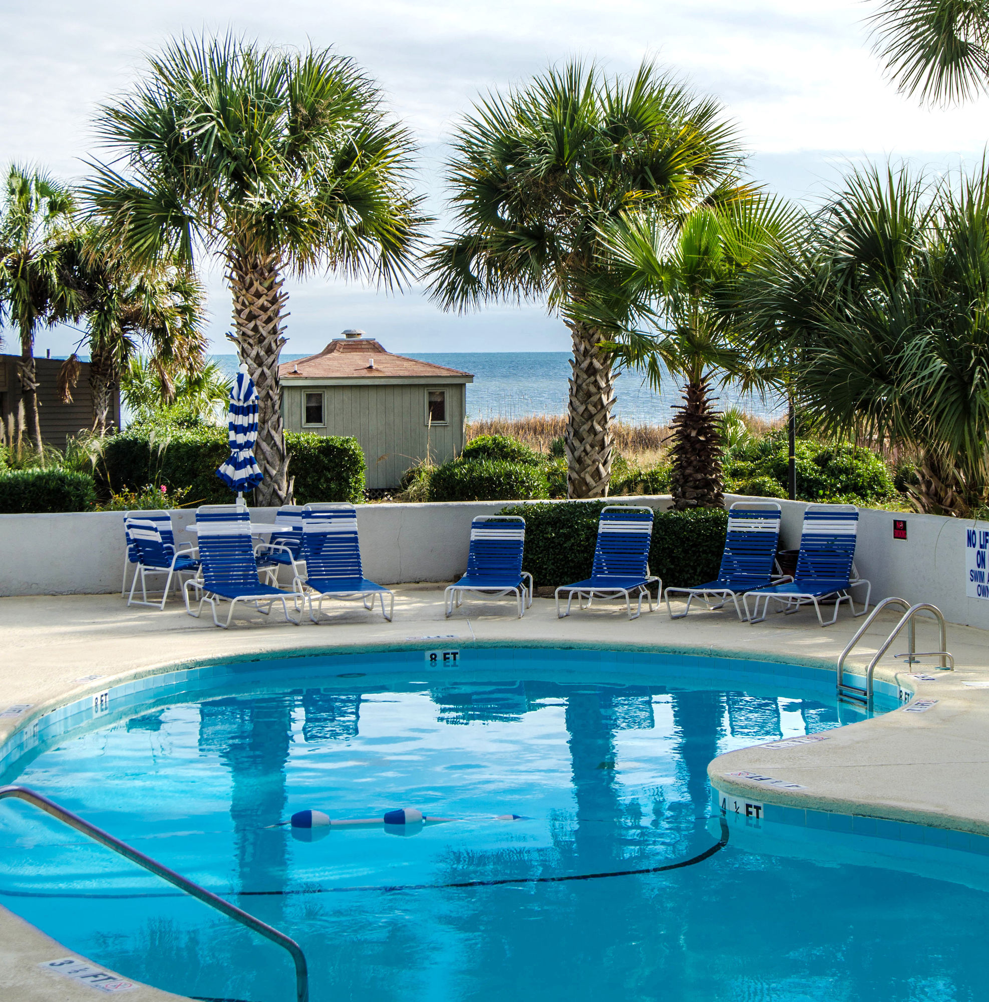 Фото Forest Dunes Resort