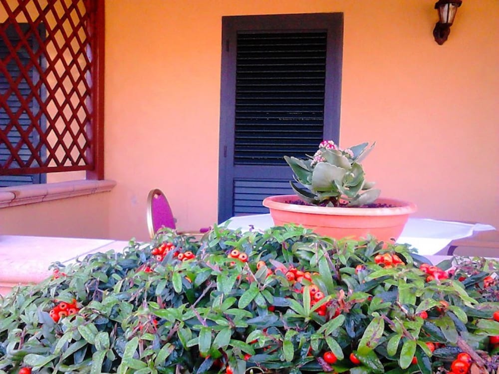 Фото Green Park Hotel