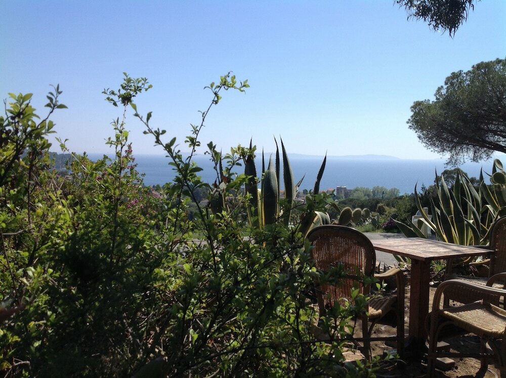 Фото 239591915500