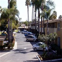 Фото Hotel Palmeras Chula Vista