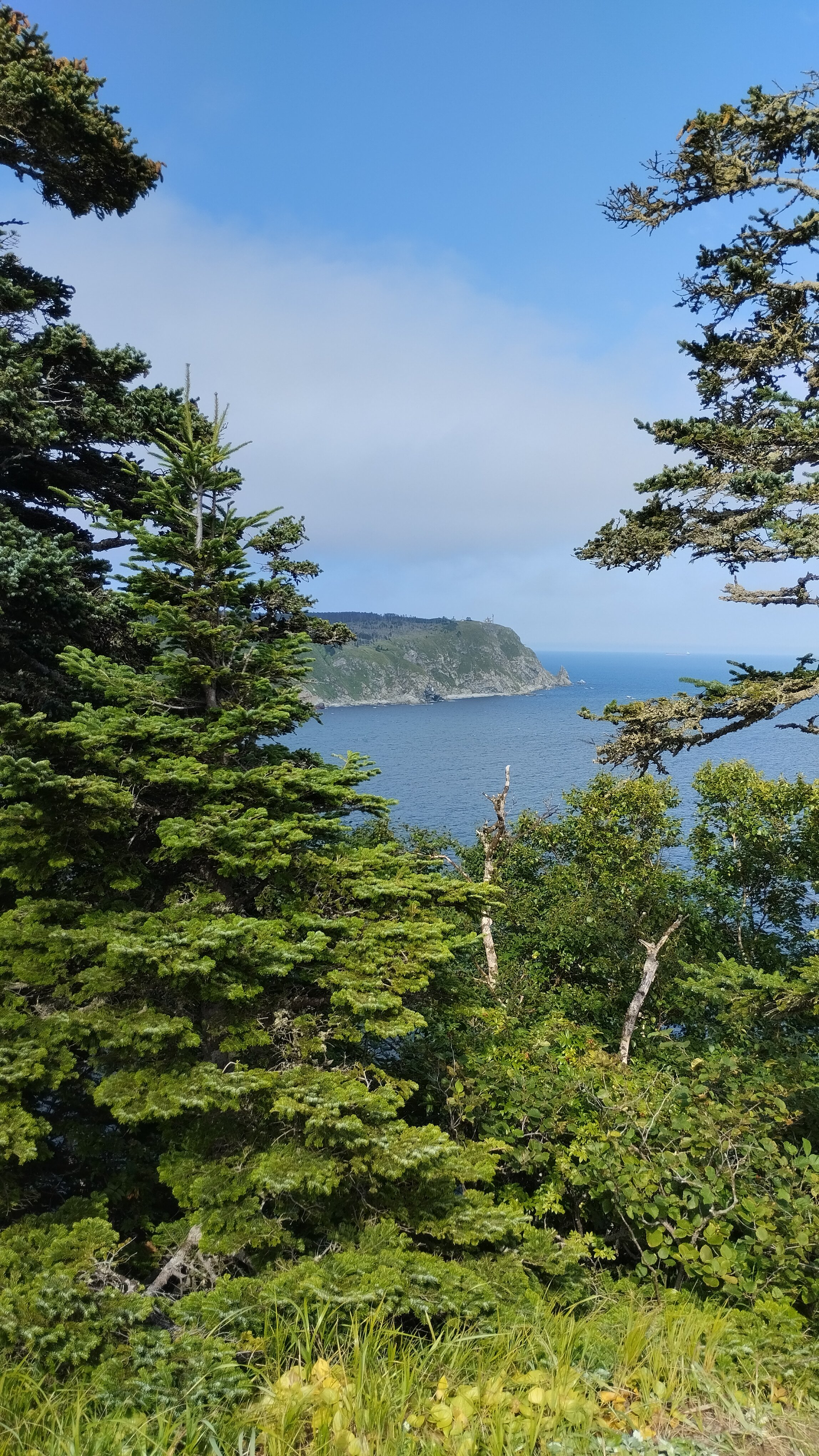 Фото Гостиный двор