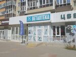 Bolshaya lapa (Yuzhnaya Street, 27) ، صيدلية بيطرية