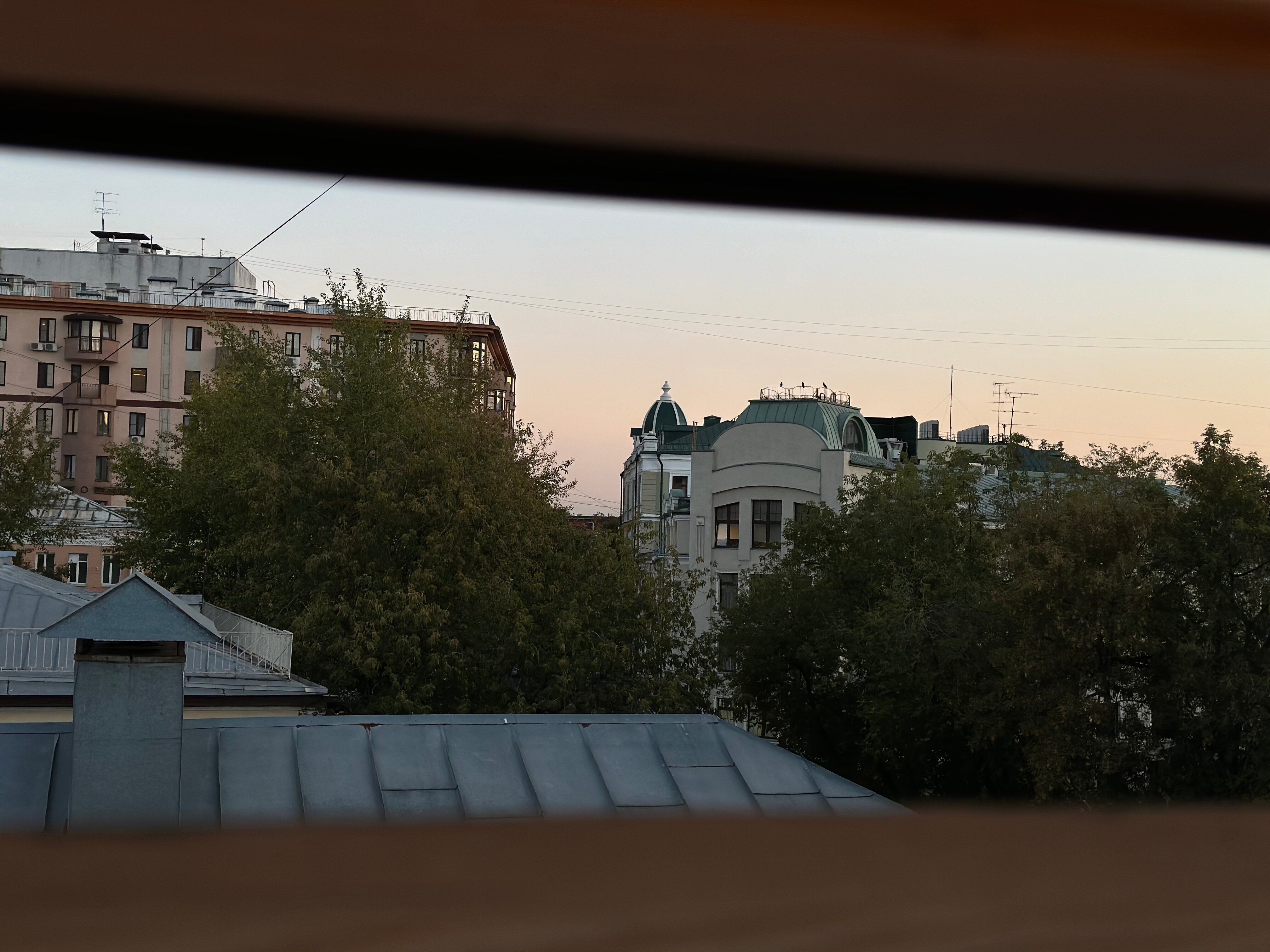 Фото Грегори