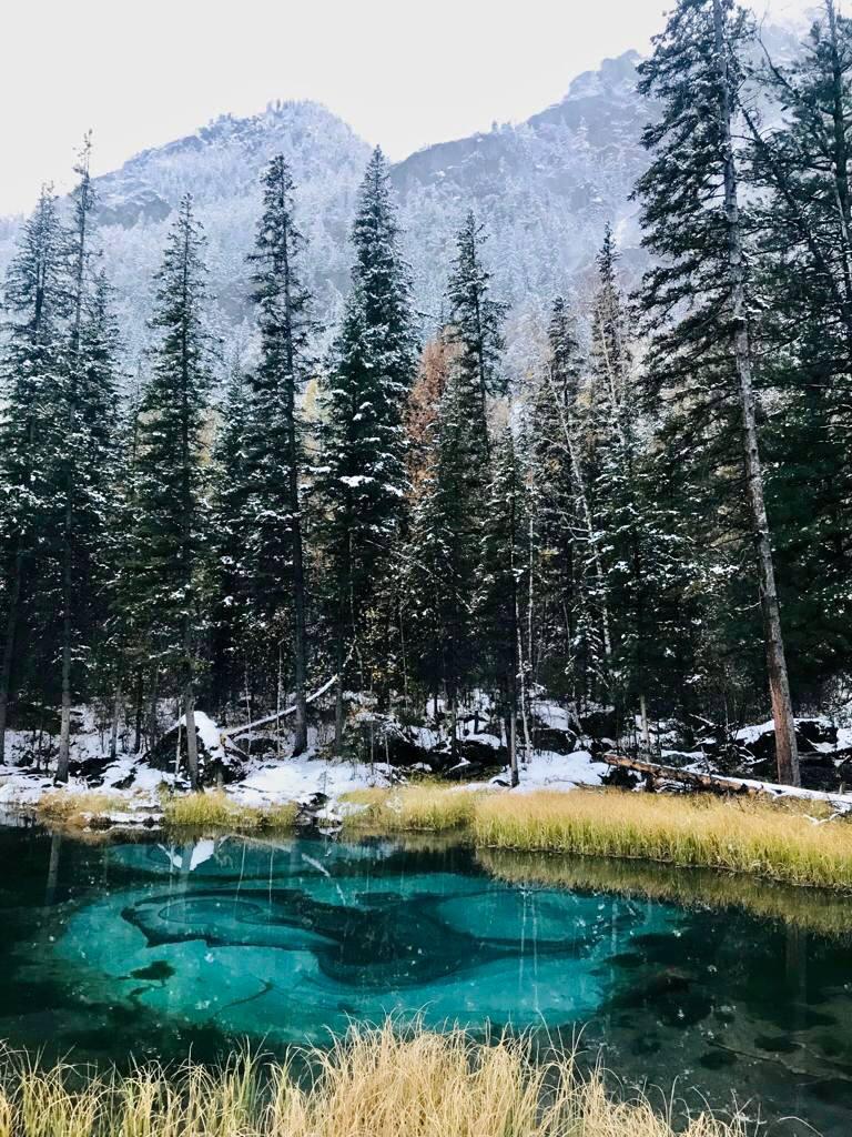 Фото Гостевой дом в Горном Алтае