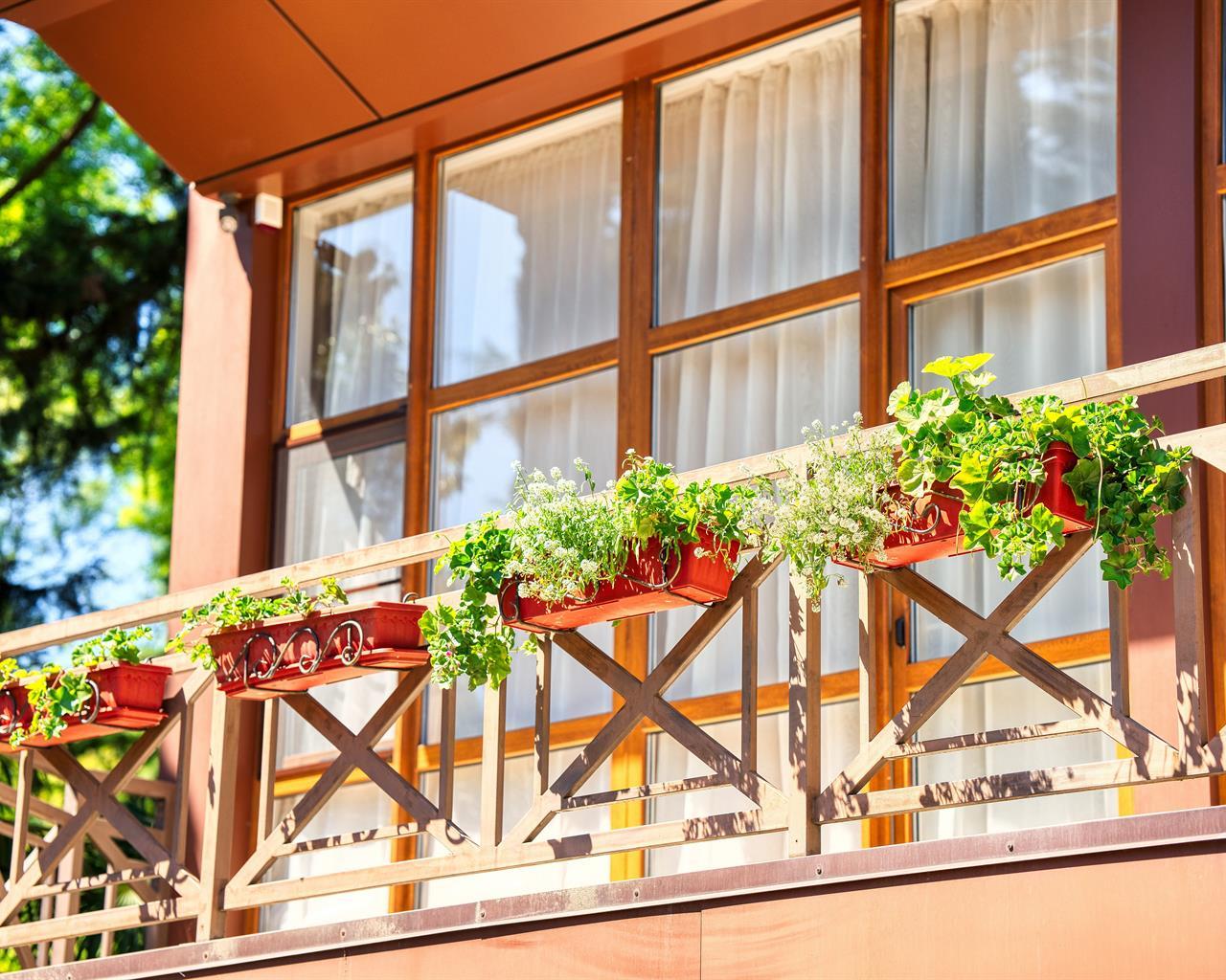 Фото Грин Клаб