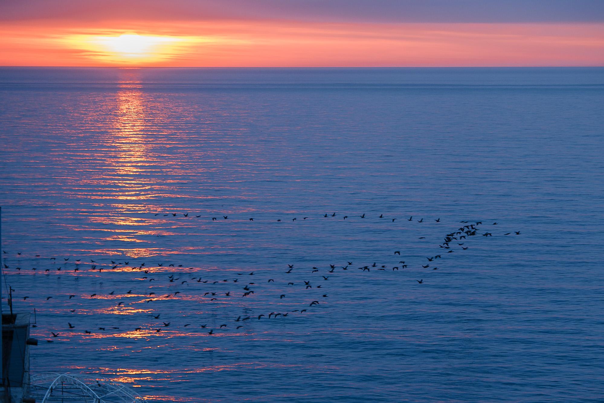 Фото Дом Бристоль
