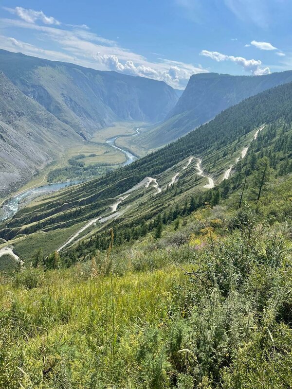 АлтайЭкоКедр — фото 24