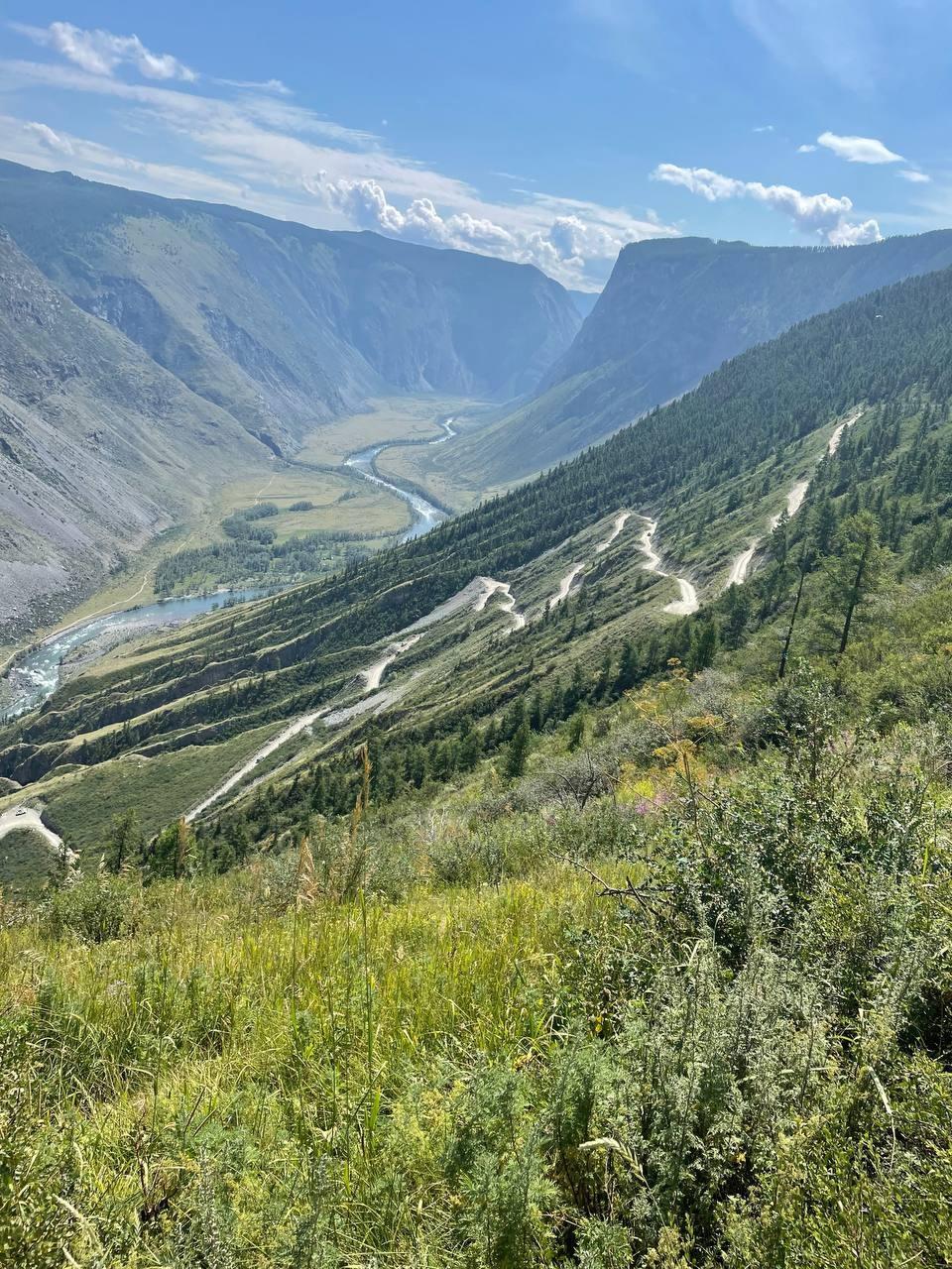 Фото АлтайЭкоКедр