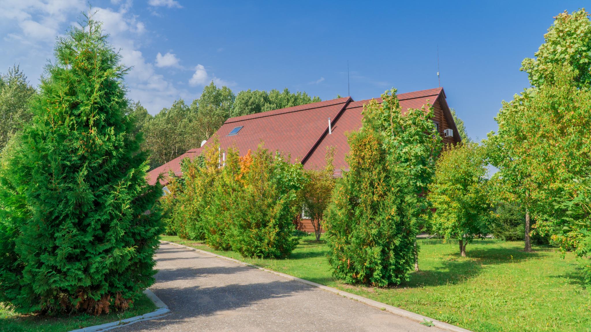 Фото Парк-отель Вольские дачи