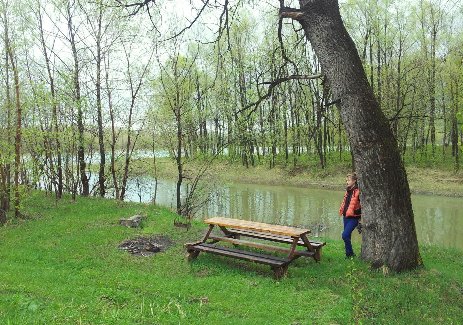 Фото Колибри