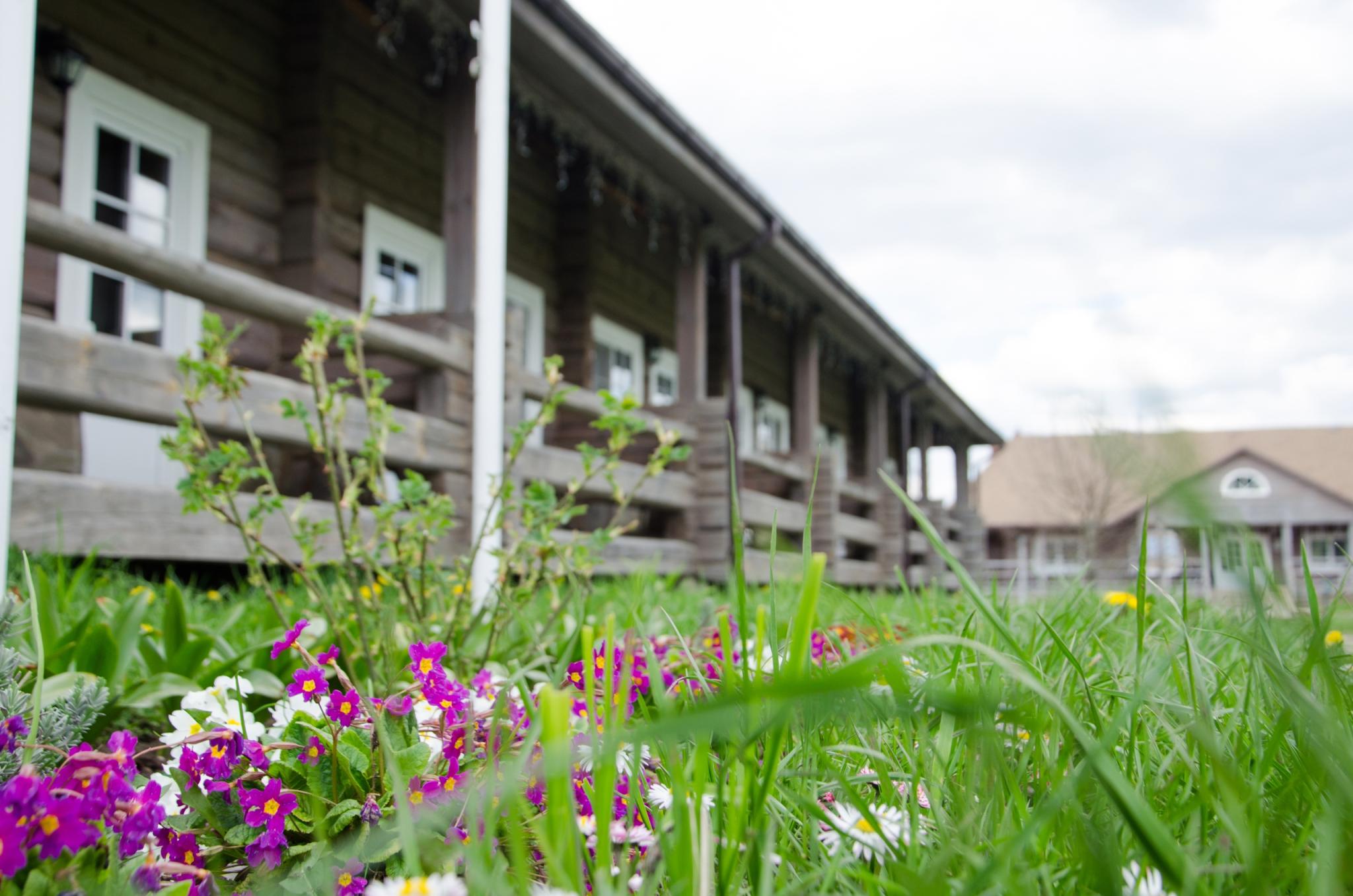 Фото Арина Р