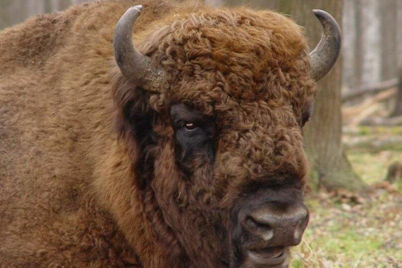 Фото НиКиТа