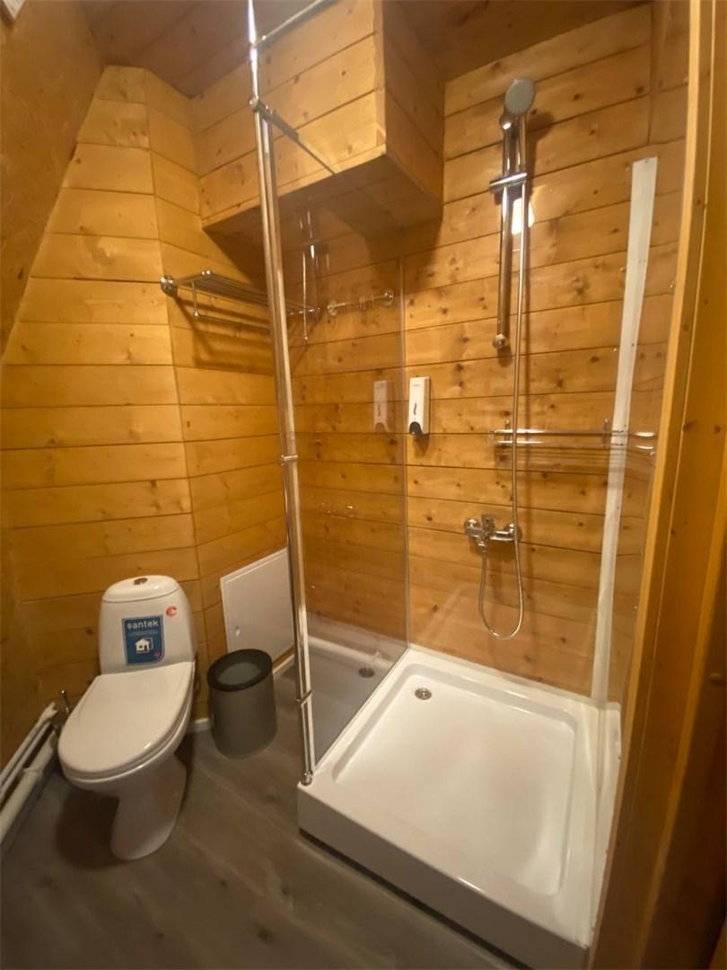 Фото Светлячок