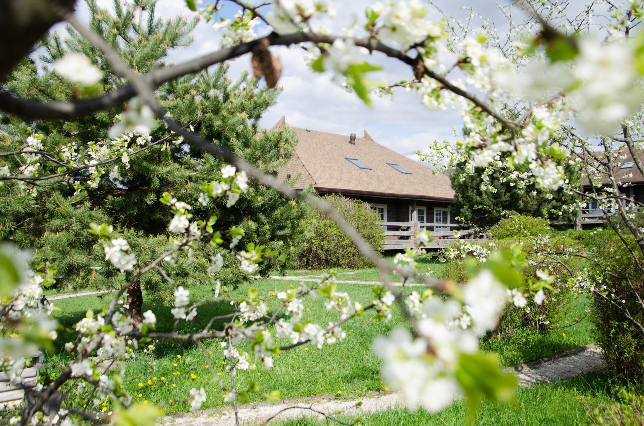 Фото Арина Р