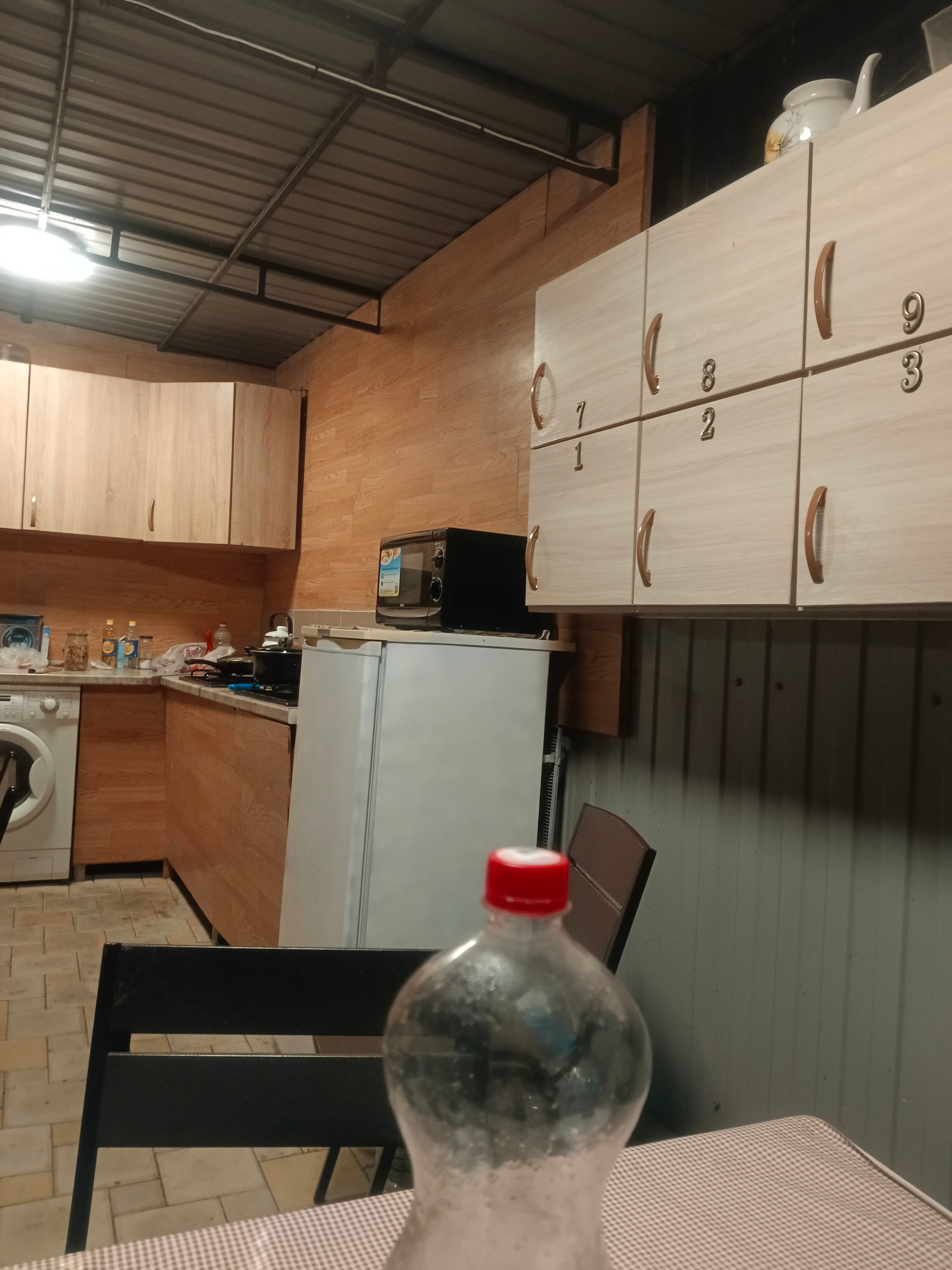 Фото Кипарис