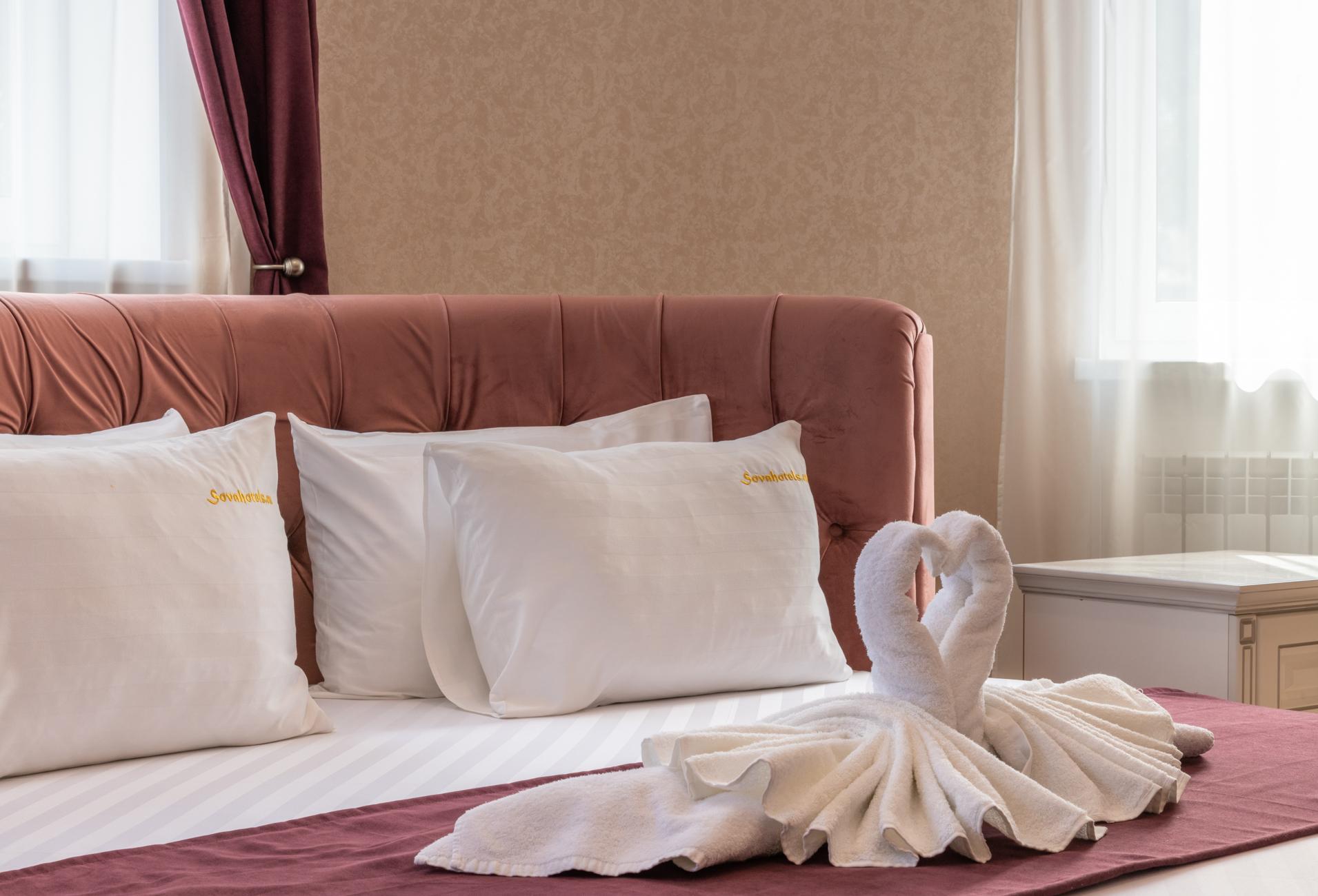 Фото Сова Беседы