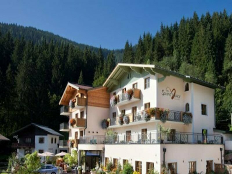 Гостиница Hotel Der Schmittenhof