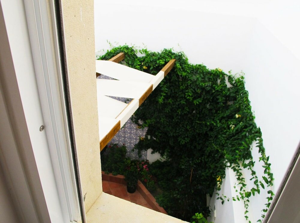 Фото Senhor Gigi