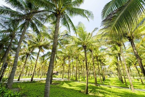 Гостиница Ocean Waves Resort Cam Ranh в Камрани