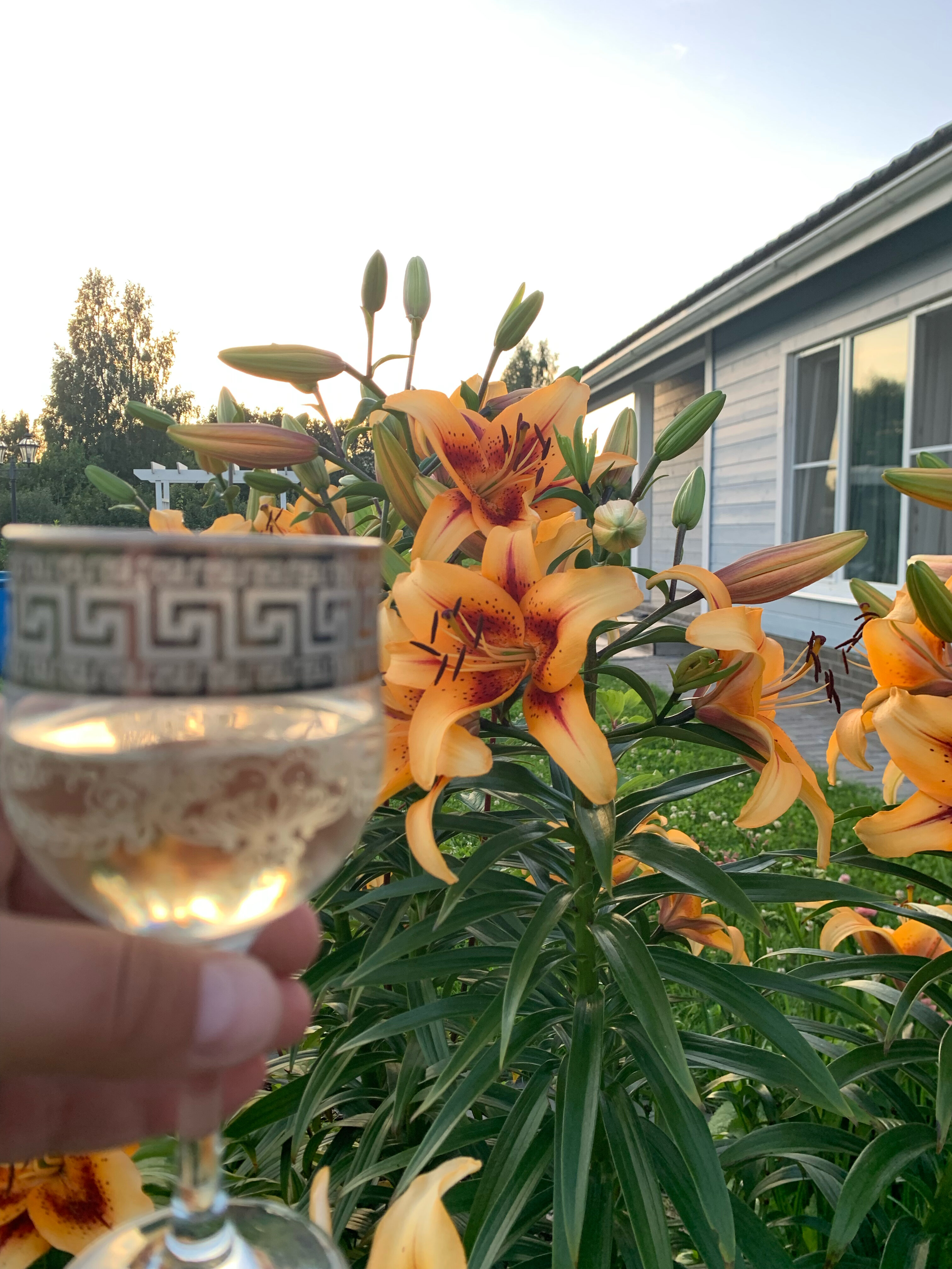 Фото Уютный Домик