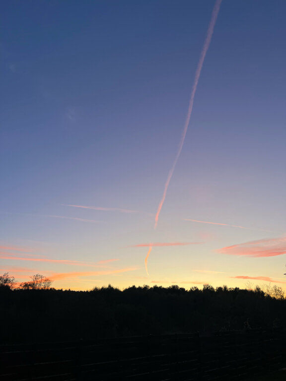 Фото Вудхаус