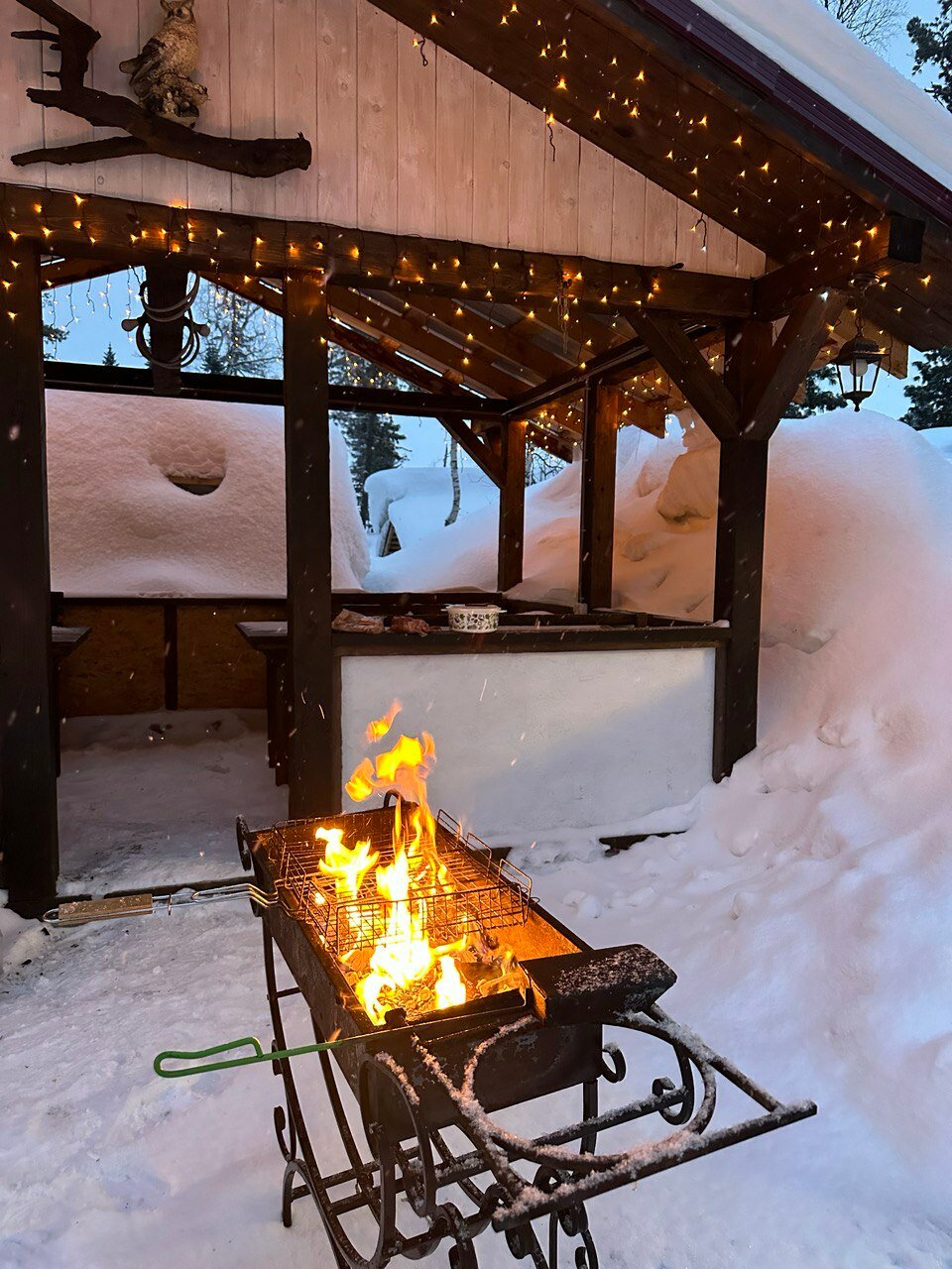 Фото Дом в кедрах