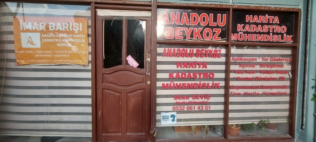 خريطة الإنتاج Anadolu Beykoz Engineering Mapping and Cadastre Bureau ، اسطنبول، صورة